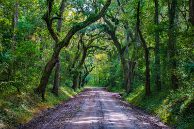 Edisto Island