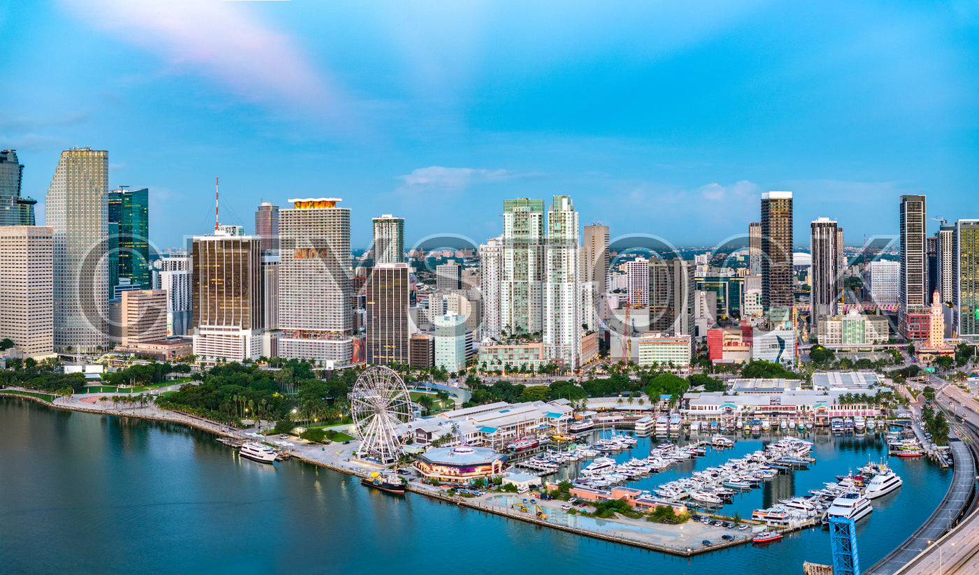 Miami Skyline and Marina View at Dusk with High-Rise Buildings
