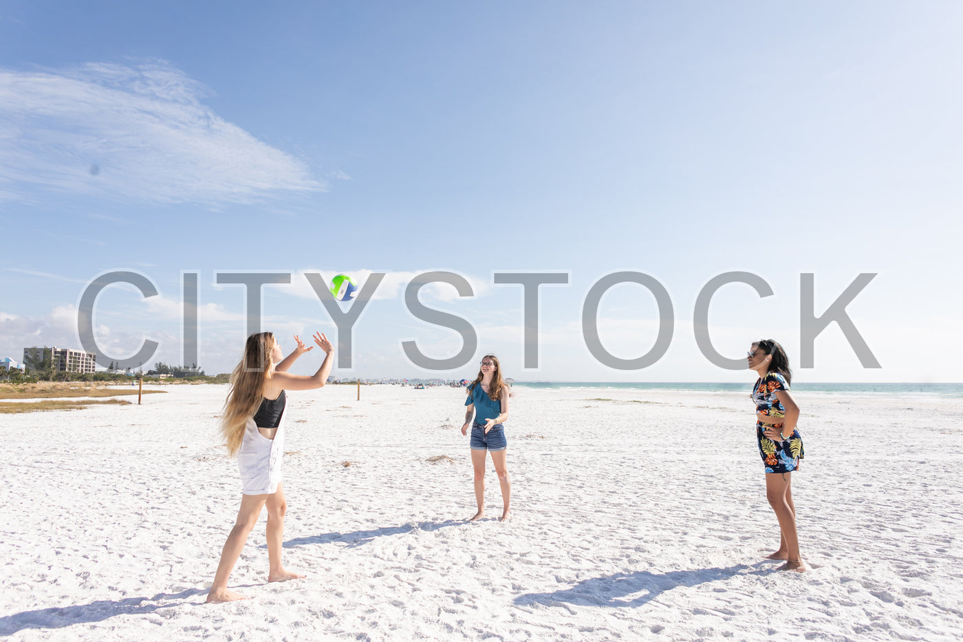 Friends playing beach volley in Sarasota on a sunny day