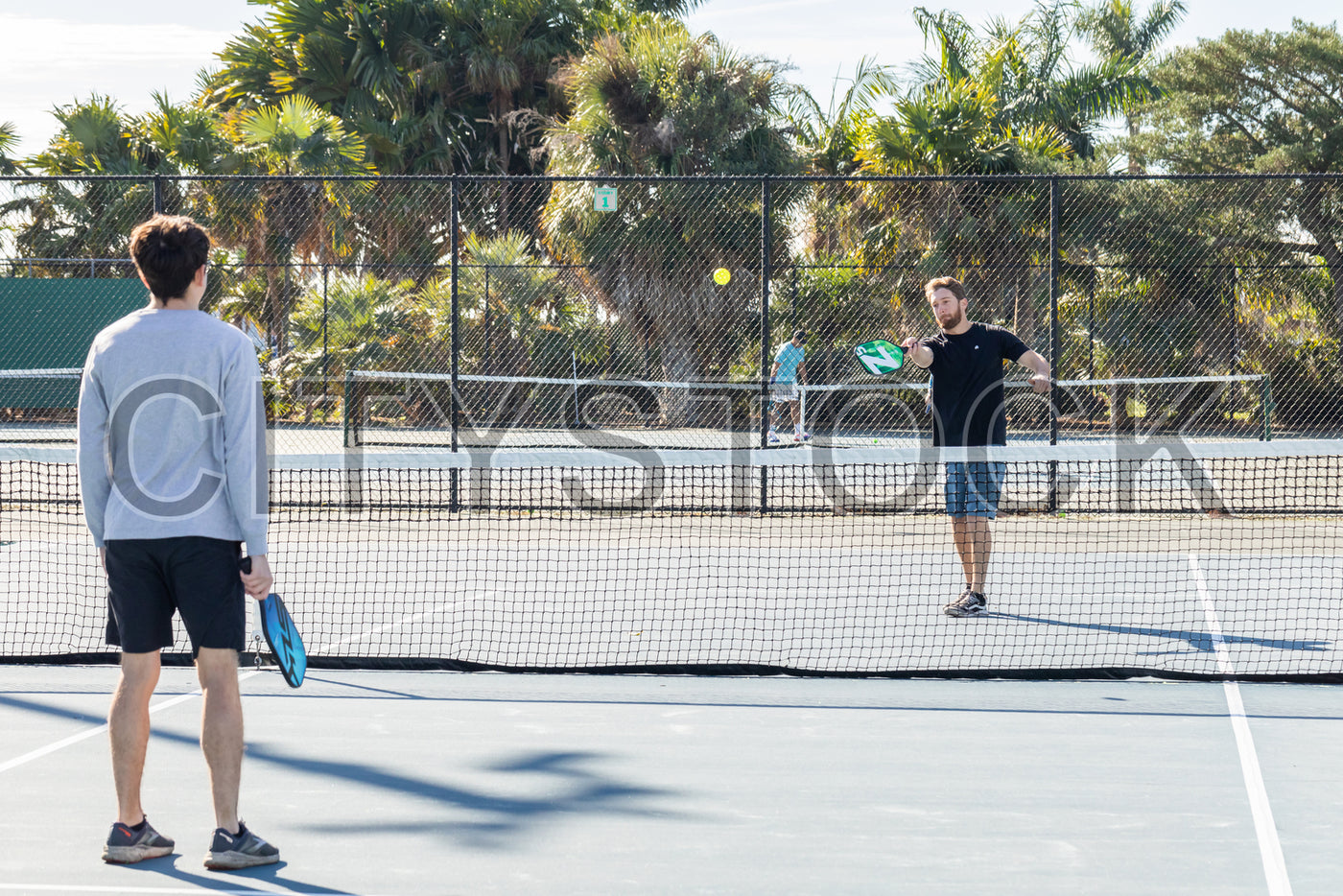 Pickleball match in action, St. Petersburg, FL