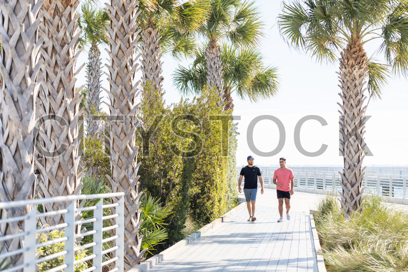 Two men jogging on palm-lined boardwalk in St Petersburg FL