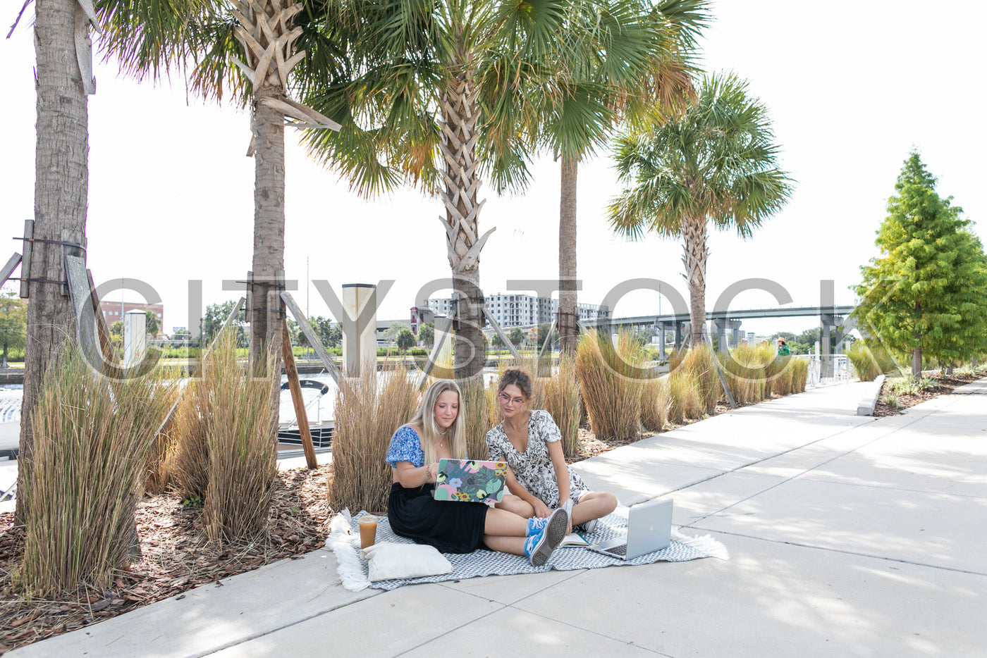 Two women freelancers working with laptops in Tampa Park