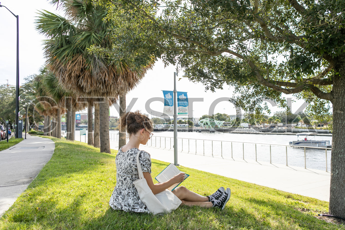 Young woman reading a book under a palm tree at Tampa waterfront