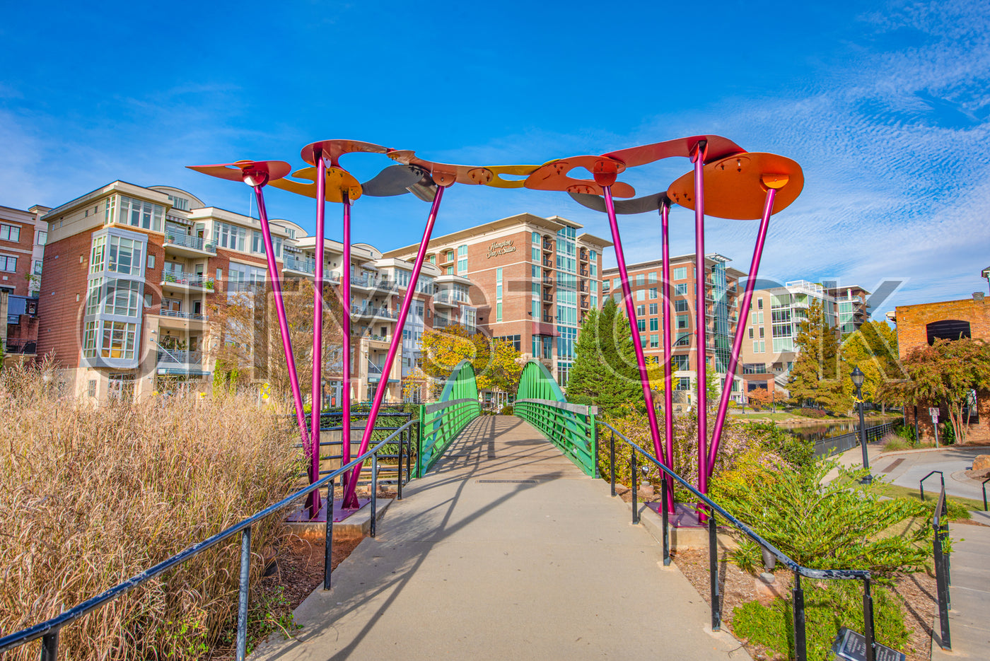 Colorful urban pedestrian bridge and modern buildings in Greenville, SC