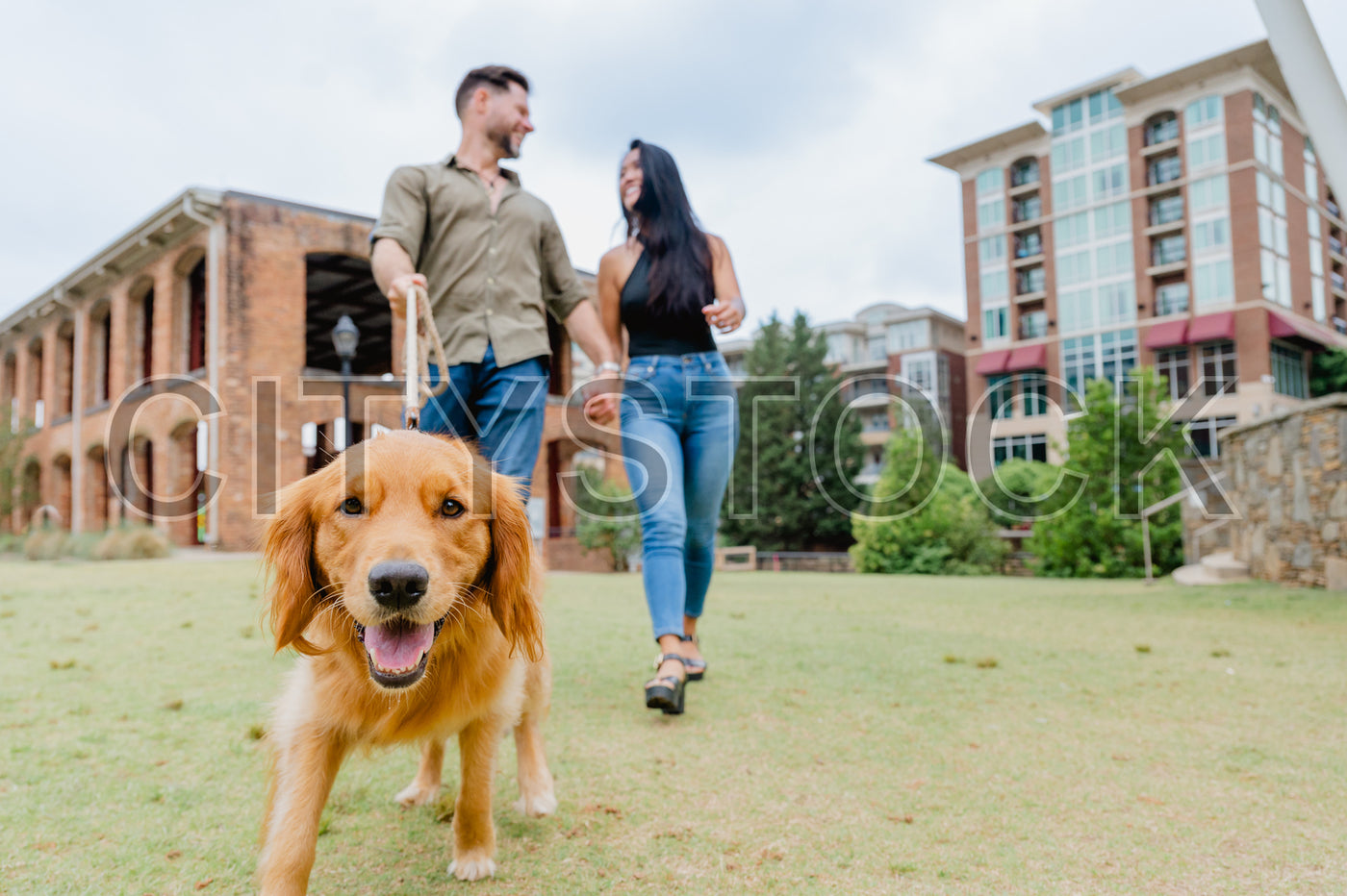 Golden Retriever with young couple walking in Greenville park