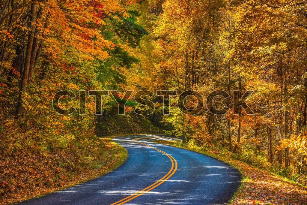 Scenic autumn view of Blue Ridge Parkway, Asheville, NC