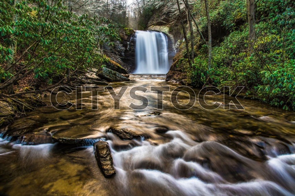 Asheville waterfall surrounded by lush greenery and rocks