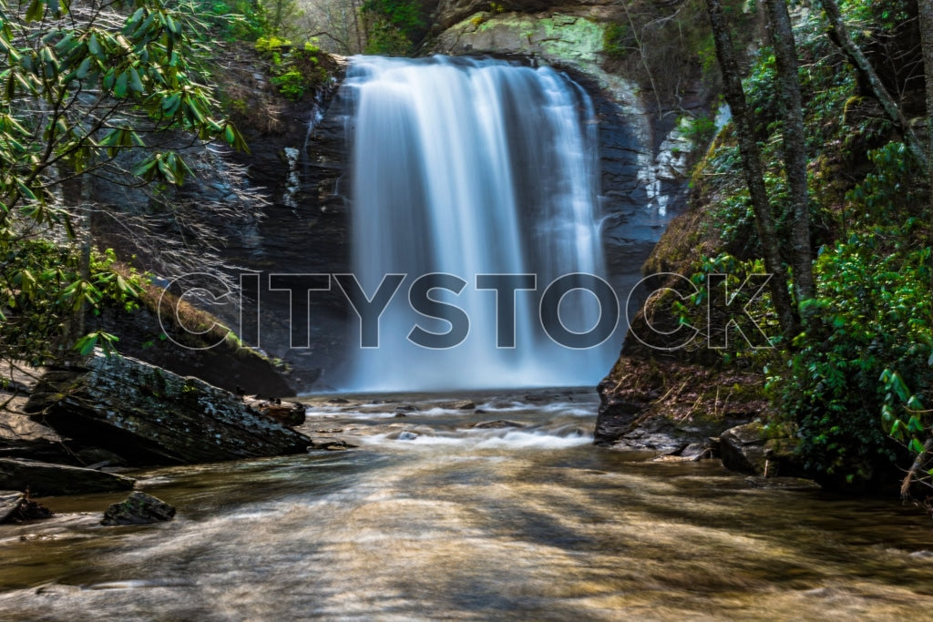 Cascading waterfall in Asheville forest with lush greenery