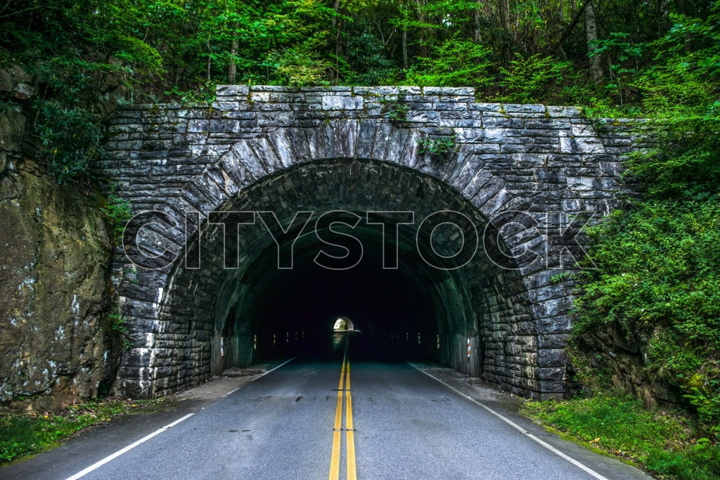Historic stone tunnel surrounded by lush greenery in Asheville