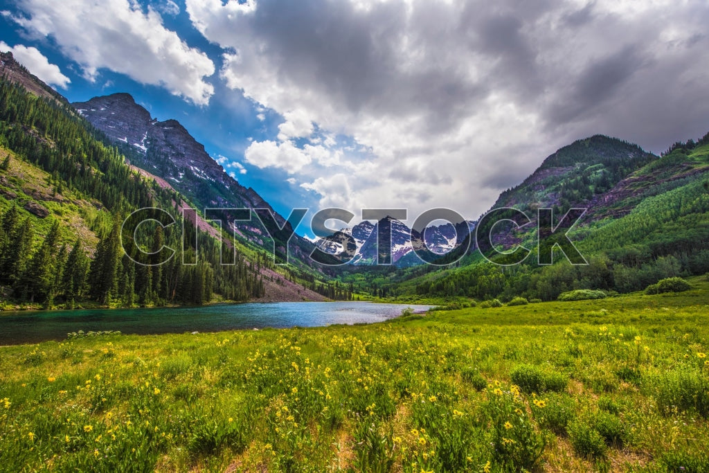 Summer view of Maroon Bells with blue sky and colorful wildflowers