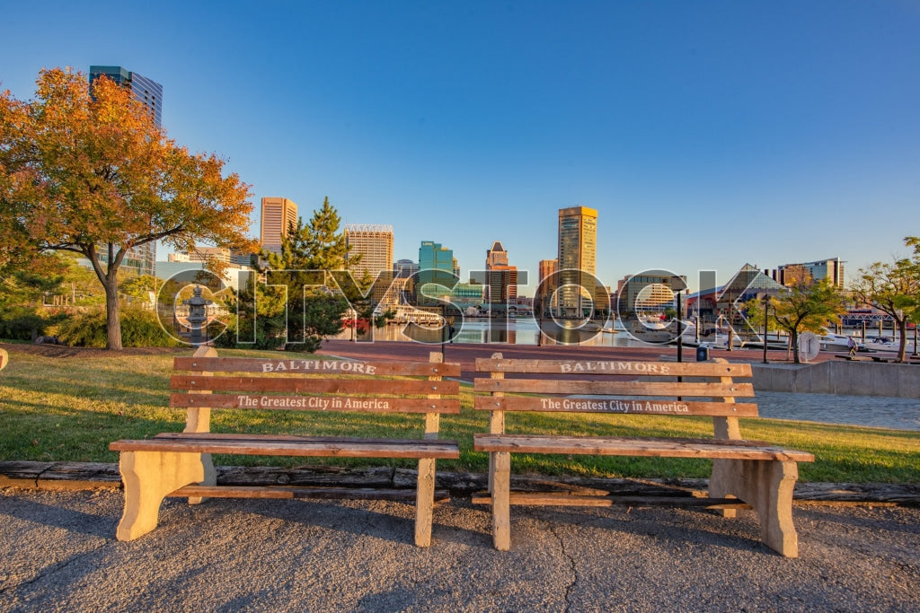 Baltimore park bench on autumn morning with city skyline