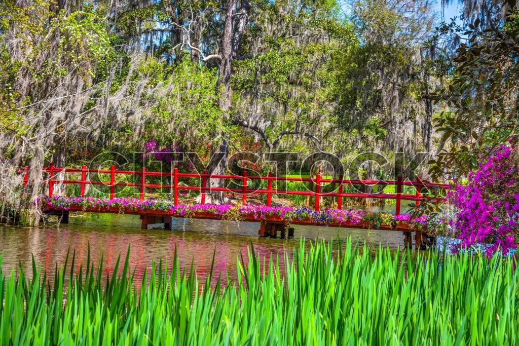 Vibrant spring view of red bridge over pond in Charleston