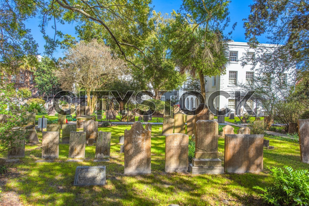Charleston 115 Image