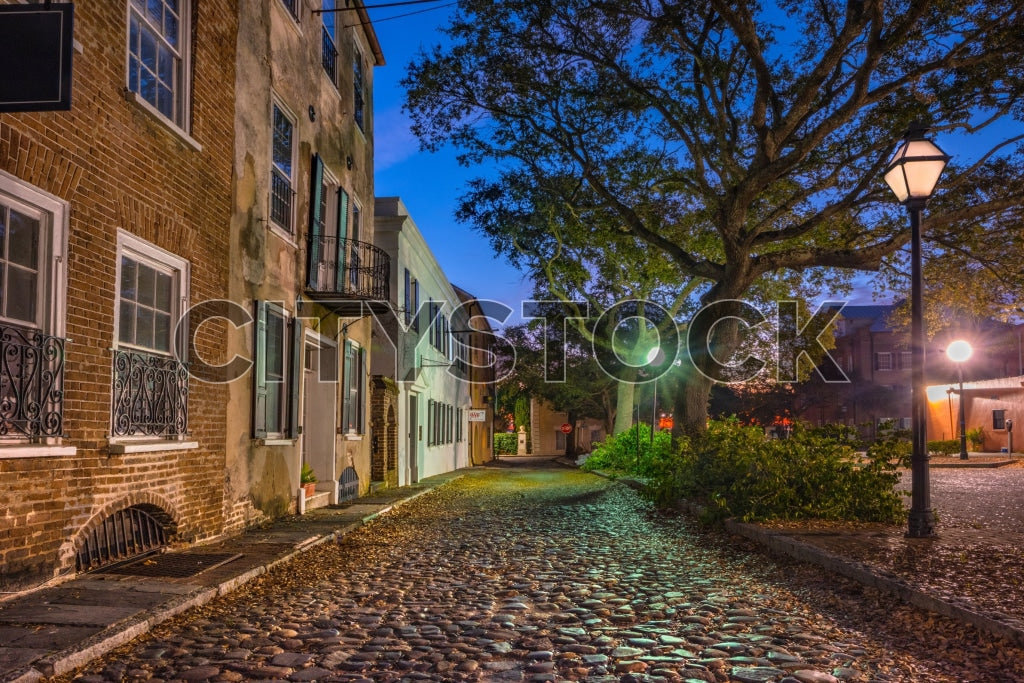 Historic Charleston cobblestone street illuminated by twilight