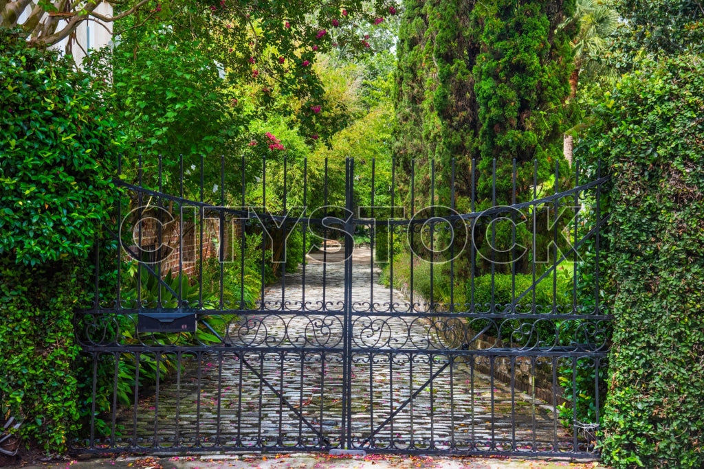 Iron gate opening to a cobblestone path surrounded by lush greenery in Charleston
