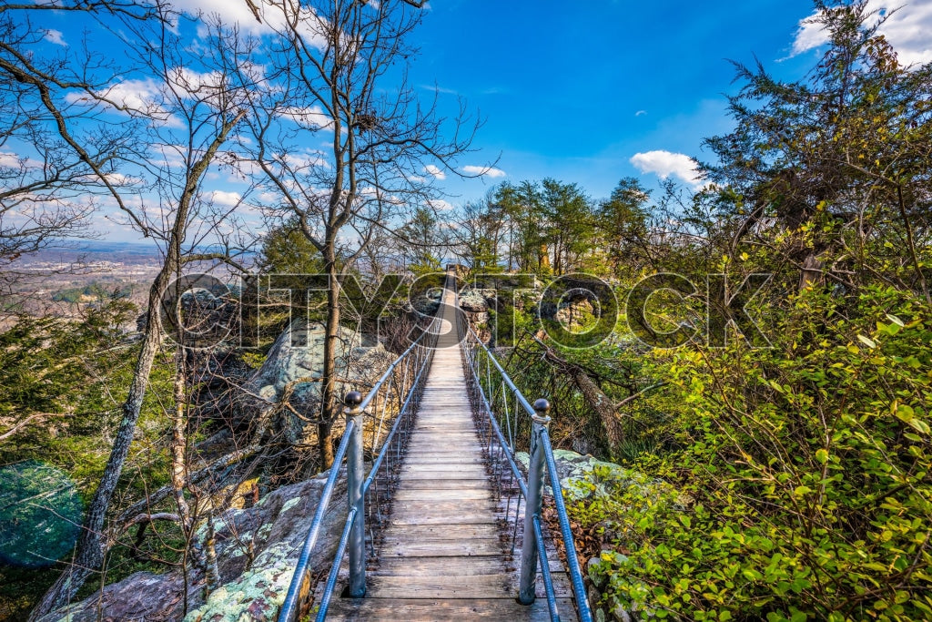 Scenic view of a rustic bridge on a nature trail in Chattanooga