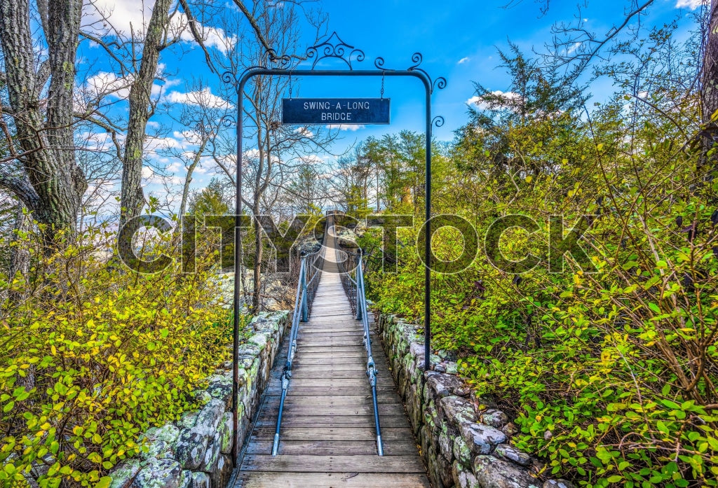 Scenic Swing-A-Long Bridge, Chattanooga, Tennessee