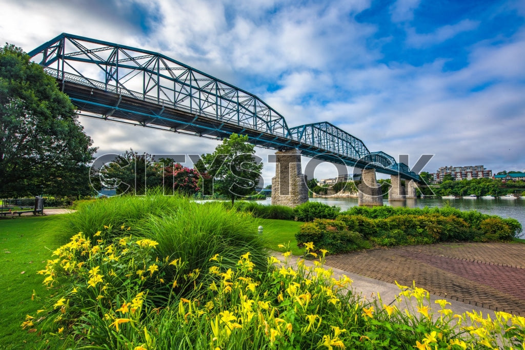 Scenic view of Chattanooga river and bridge with lush greenery and yellow flowers