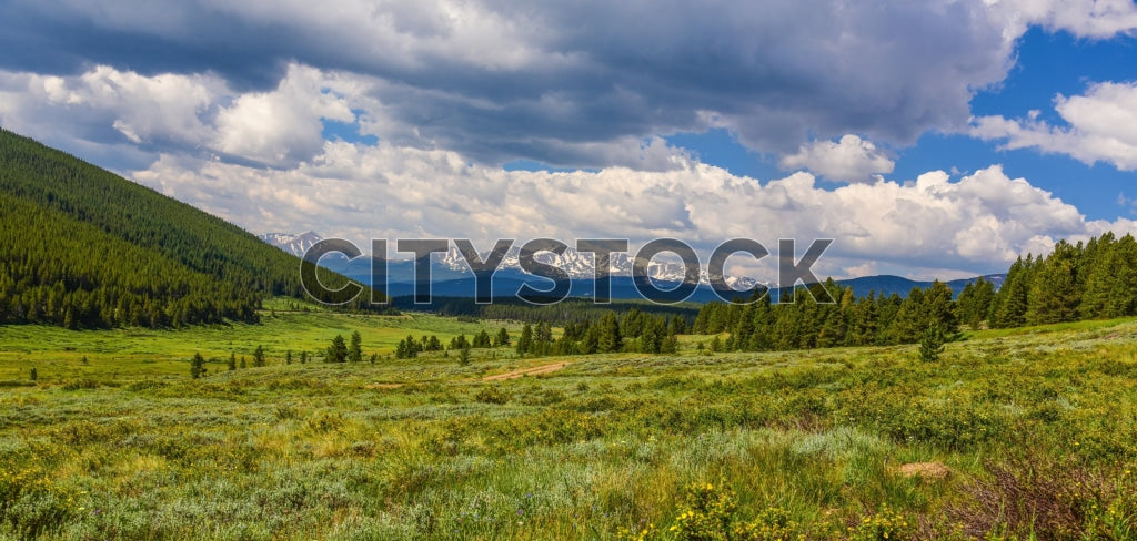 Summer day at Crested Butte, CO with lush greenery and blue sky