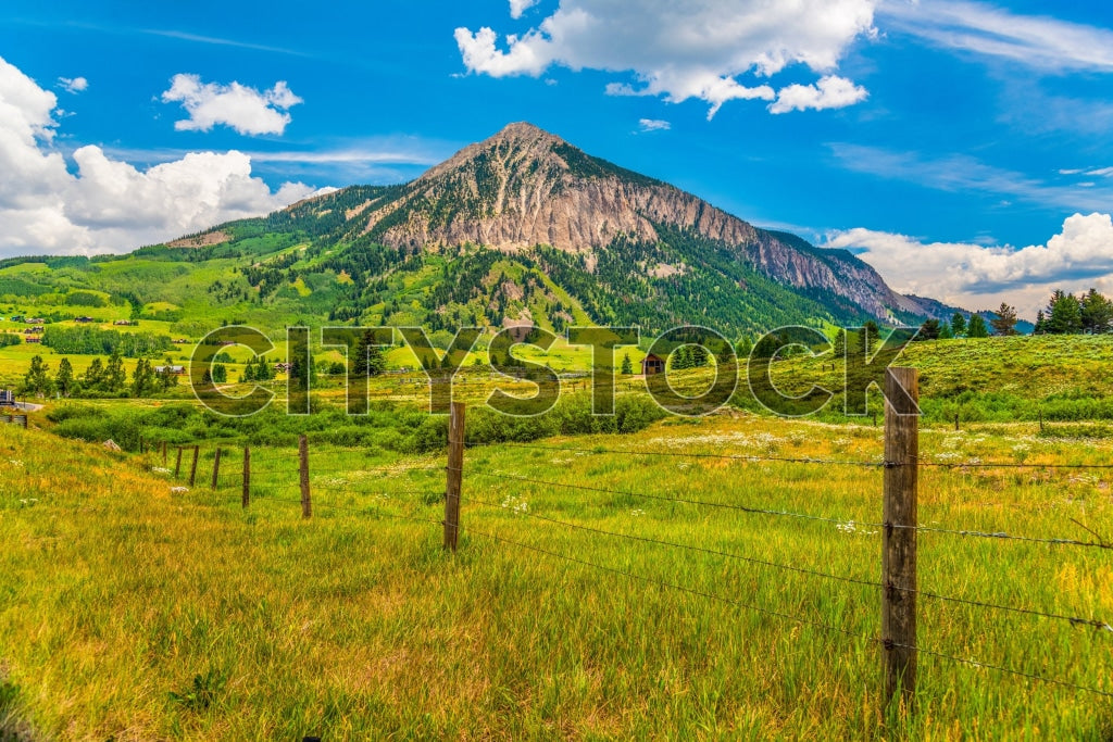 Lush green landscape with mountain backdrop in Crested Butte, Colorado
