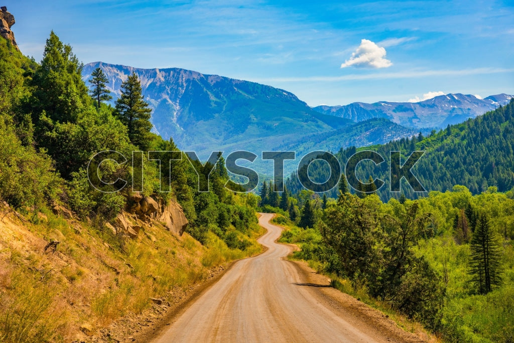 Winding road through lush mountains in Crested Butte, Colorado