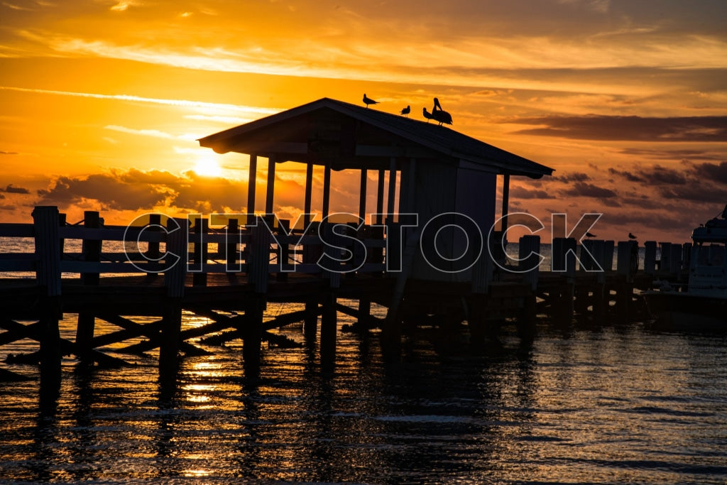 Pelicans resting on a pier during a vibrant sunset in Florida Keys