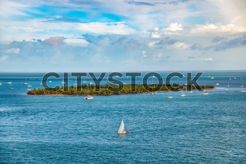 A stunning view of sailboats on crystal waters in the Florida Keys