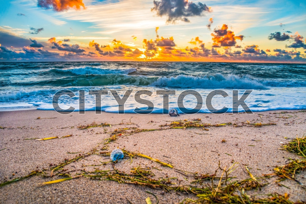 Serene sunrise at Pompano Beach, Florida with ocean waves and a lone seashell