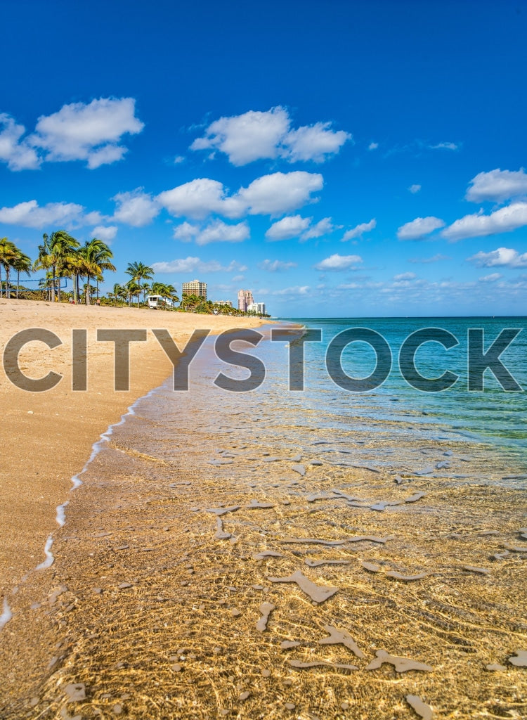 Fort Lauderdale beach with palm trees and ocean view