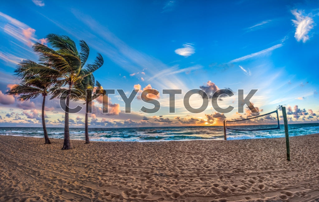 Fort Lauderdale beach at sunrise with palm trees and volleyball net