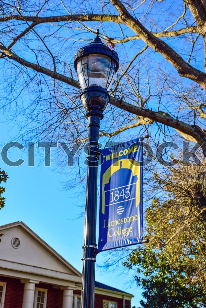 Lamp post with Limestone College banner, Gaffney, SC