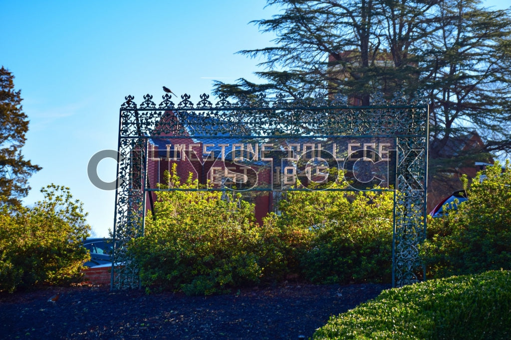 Historic iron gate with intricate design at Limestone College, South Carolina
