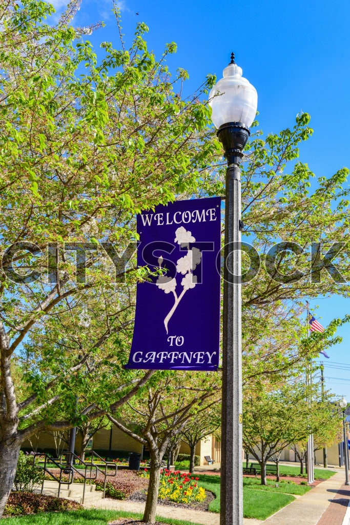 Welcome sign for Gaffney, SC amidst spring blooms and blue sky