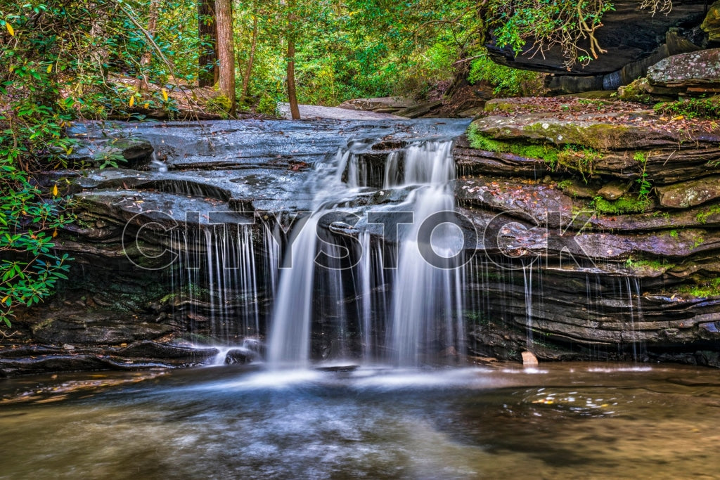 Greenville 13 Image