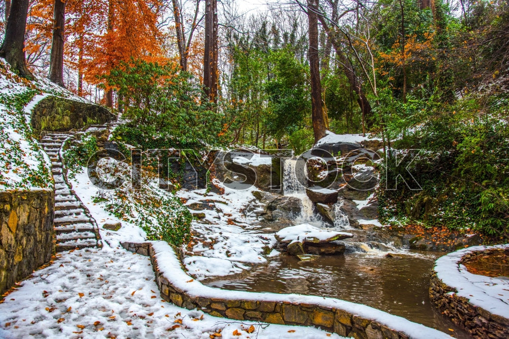 Autumn leaves and winter snow by a stream in Greenville, SC