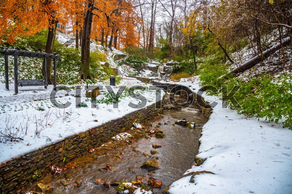 Snow-covered creek amid autumn leaves in Greenville, SC
