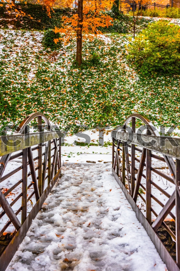 Snowy pathway with autumn leaves in Greenville Park, SC