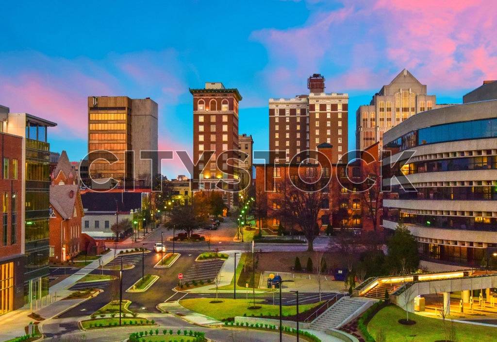 Greenville 172 Image