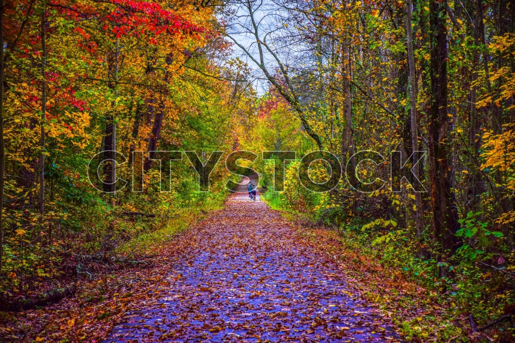 Greenville 187 Image