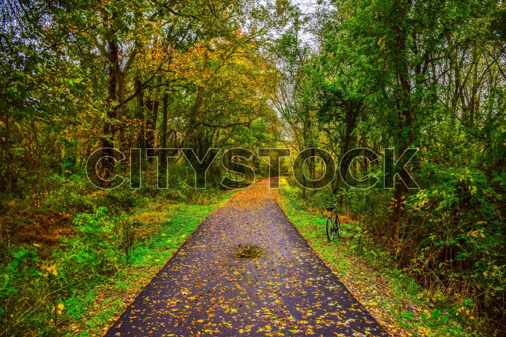 Leaf-covered bike trail in autumn, Greenville, SC