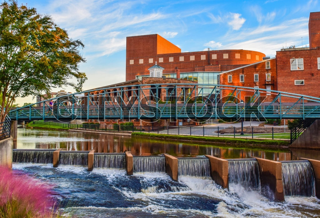Greenville 20 Image