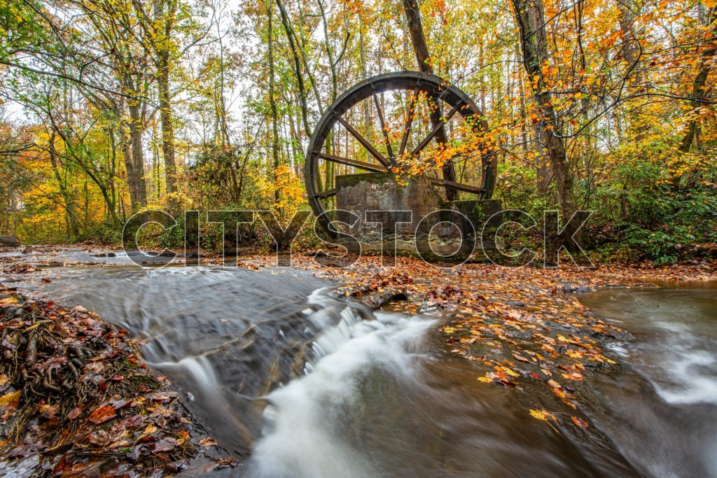 Historical waterwheel surrounded by autumn leaves in Greenville, SC