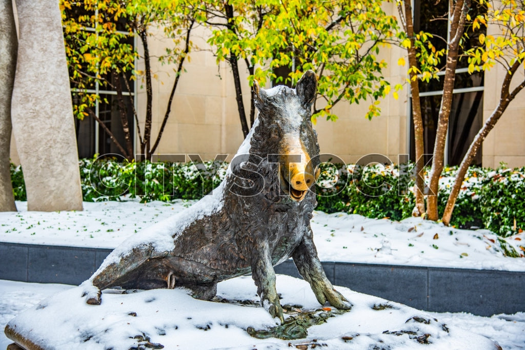Snow-covered wild boar sculpture in Greenville city park amidst winter