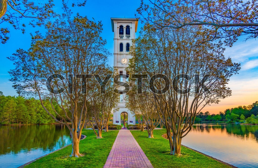 Greenville 273 Image
