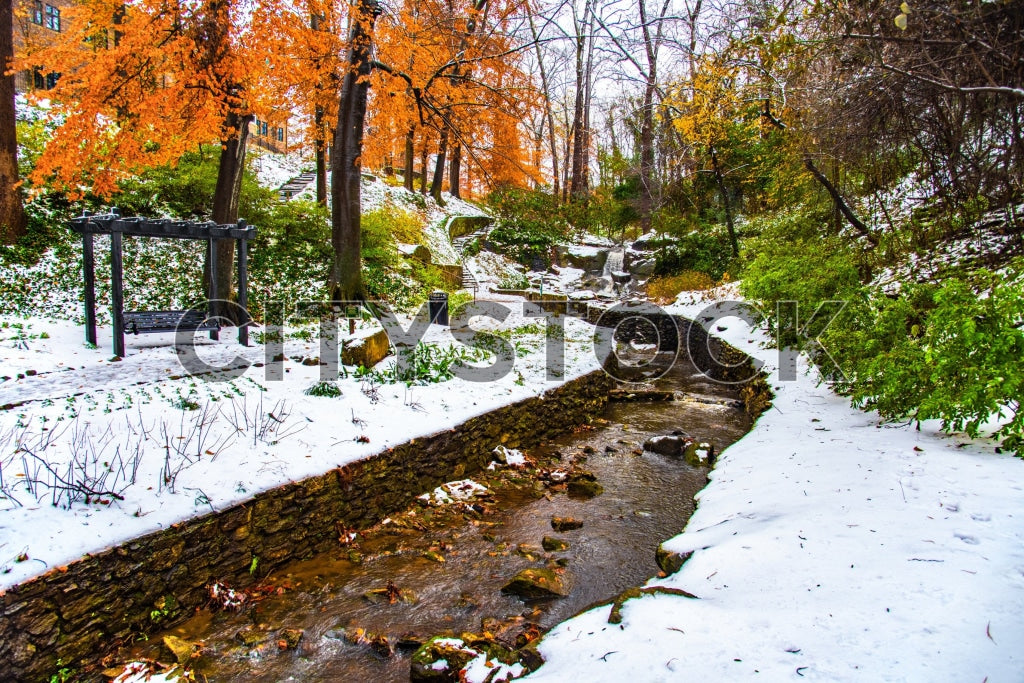 Snowy creek with vibrant autumn trees in Greenville, South Carolina