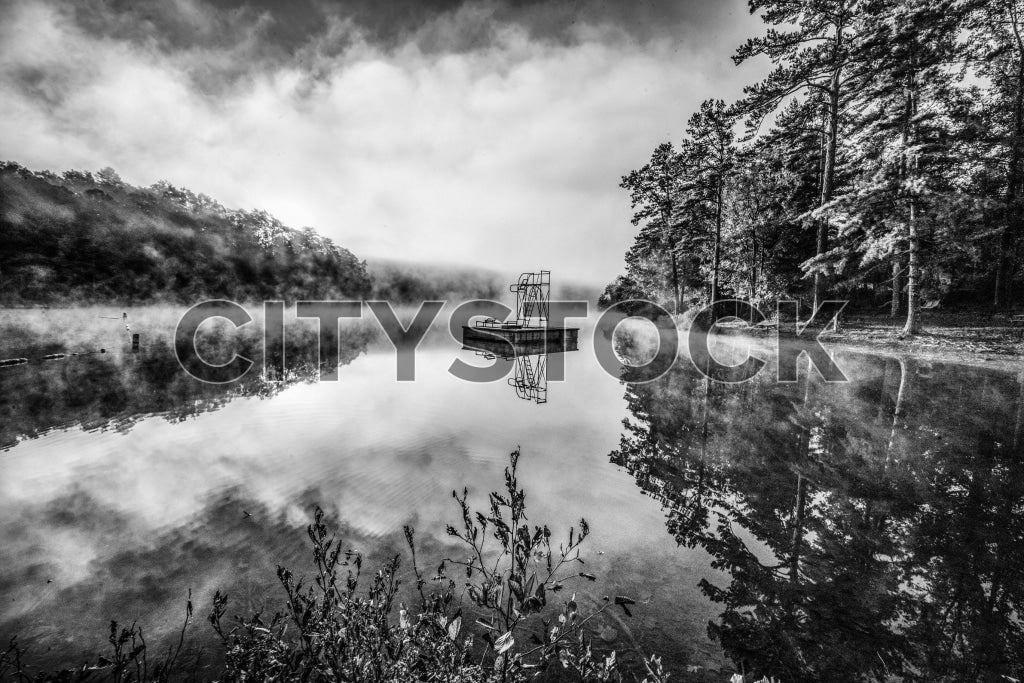 Greenville 298 Image