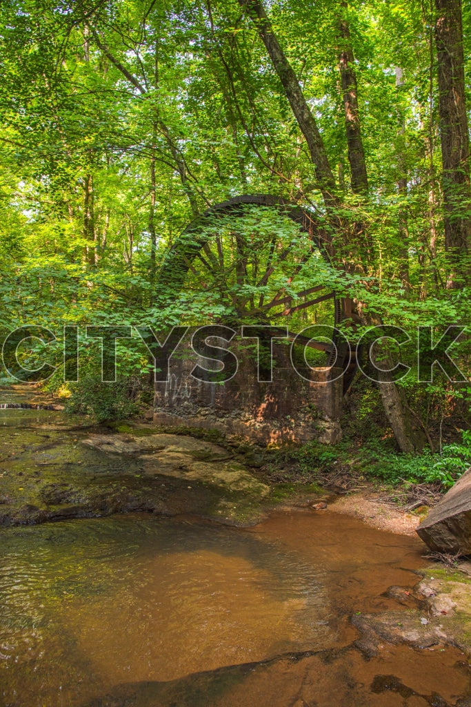 Greenville 319 Image