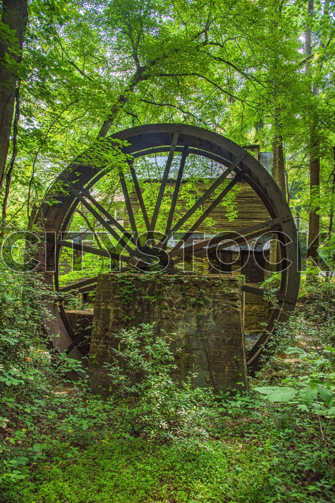 Historical rustic water wheel amidst lush Greenville forest