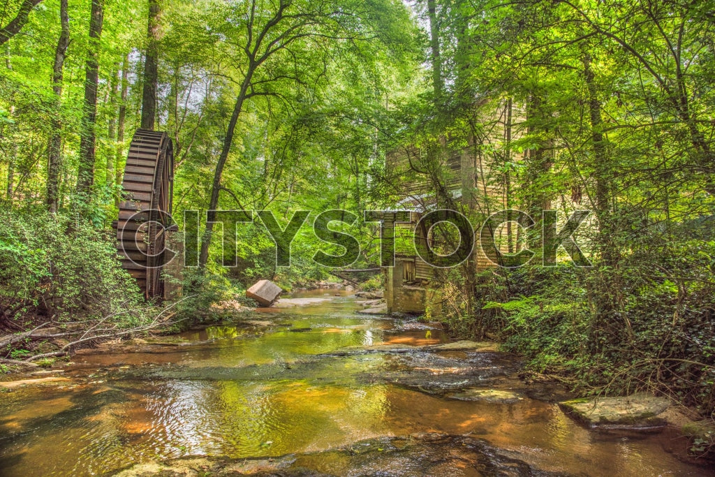 Greenville 321 Image