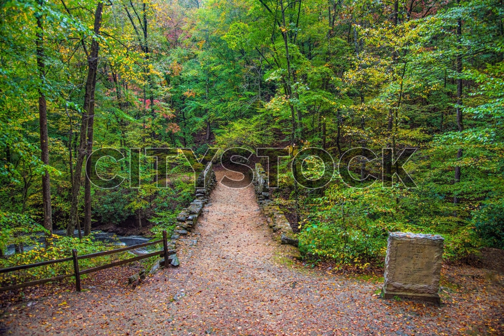 Scenic autumn view of Greenville trail with historical plaque